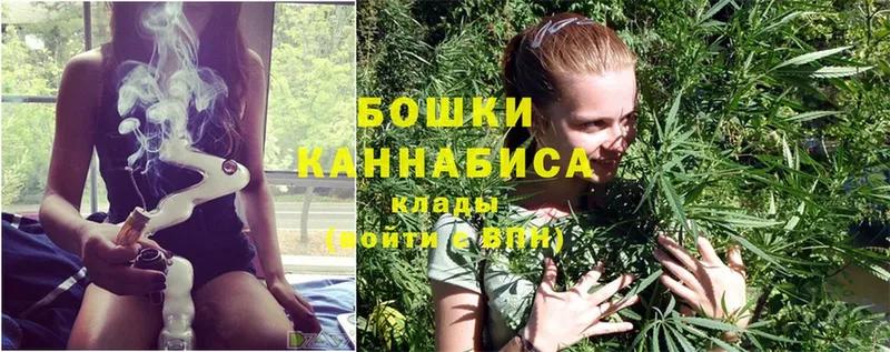 Каннабис OG Kush  Геленджик 